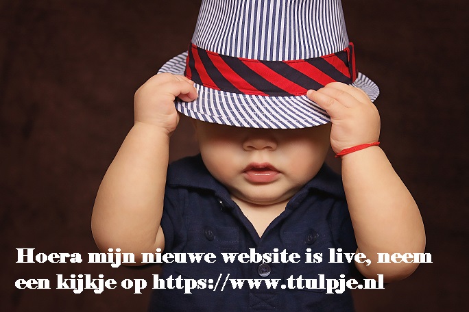 TTulpje tweet picture