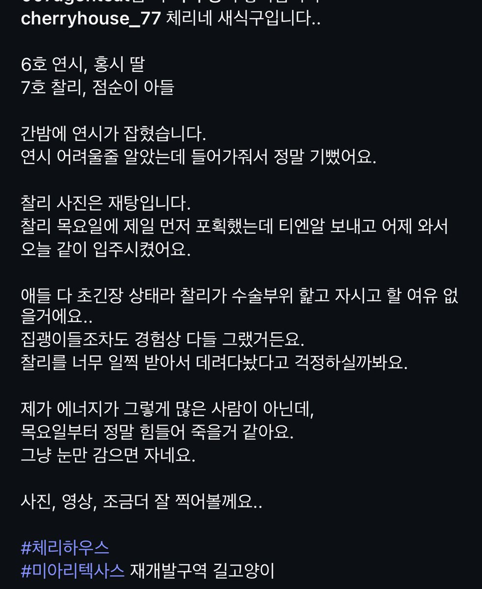며칠 전 서울 성북구의 신월곡1구역 재개발조합에서 일부 구역에 예고도 없이 펜스를 친다고 하고 통로를 막는다고 밥그릇을 치우라 해서 비상이 걸렸습니다. 조합에 부탁하고 부탁해 겨우 일주일의 시간을 벌었습니다. 캣맘이 밤새워 포획을 하고 있어요. 모쪼록 관심을 부탁드립니다.