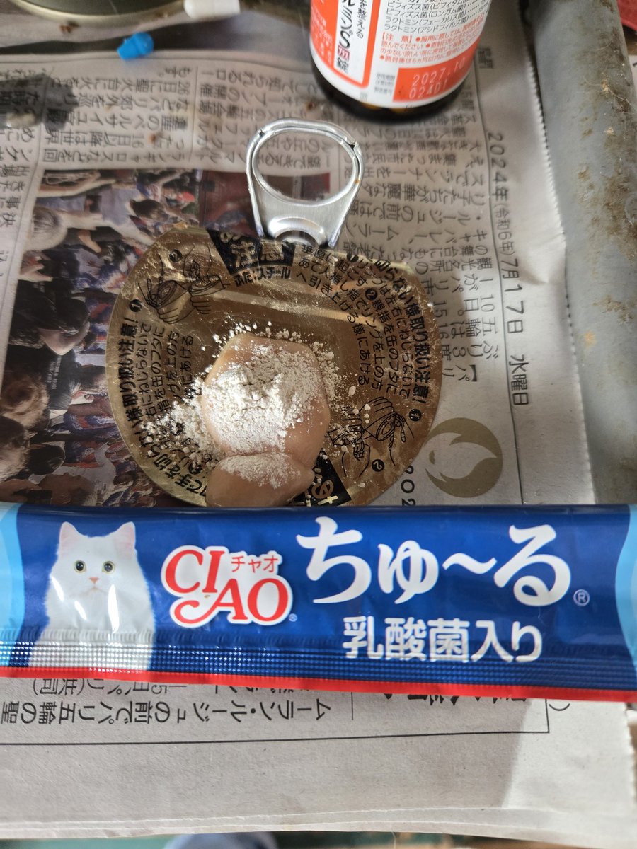 Amandacats2022's tweet photo. GS-441524 FIP治療薬が今日の午後届きました。30カプセル、1日1カプセルです。ご寄付くださった皆様、ありがとうございます。プレシャスちゃんのために🙏お祈りし続けてください🙏❤️🐾 #fip #fipcats #猫 https://t.co/rwmDADIFE4