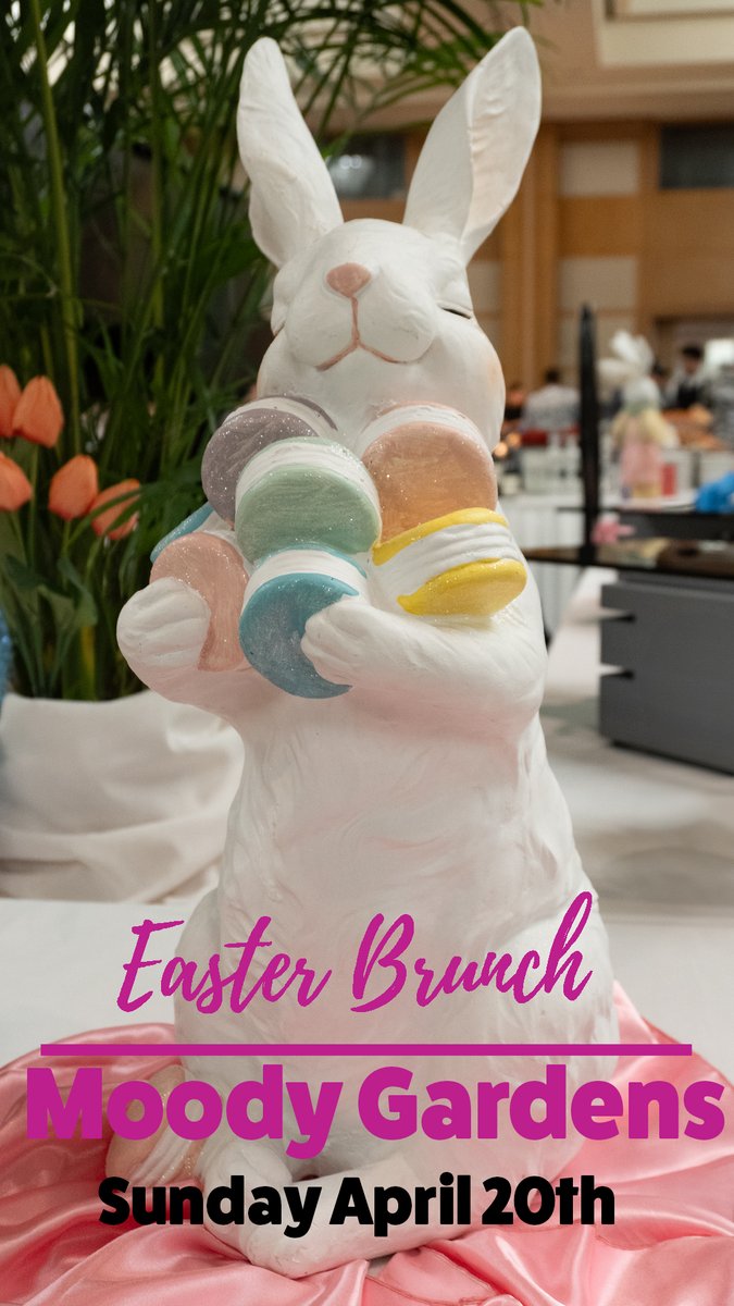 Just one more day before 🐰Easter Brunch inside the Moody Gardens Hotel at the Frances Anne Moody Ballroom. ⌚Seating available from 10:30am to 2:30pm. 

🖋Make reservations here: bit.ly/4hBS1UR