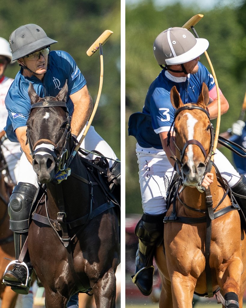 Global Polo tweet media