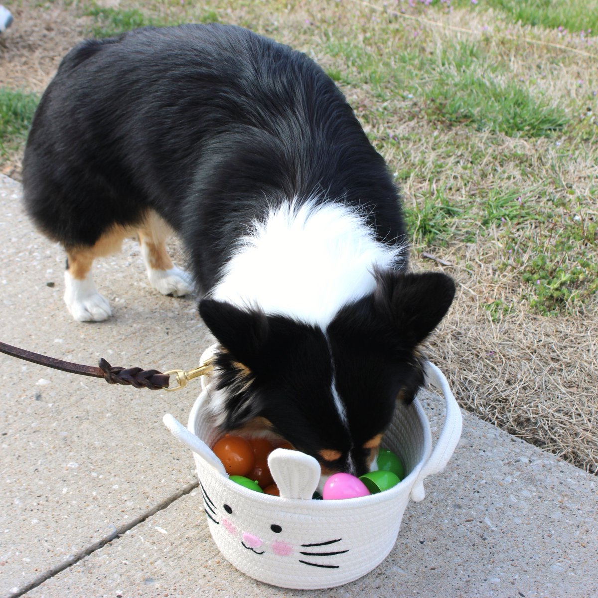 Treats Unleashed tweet media