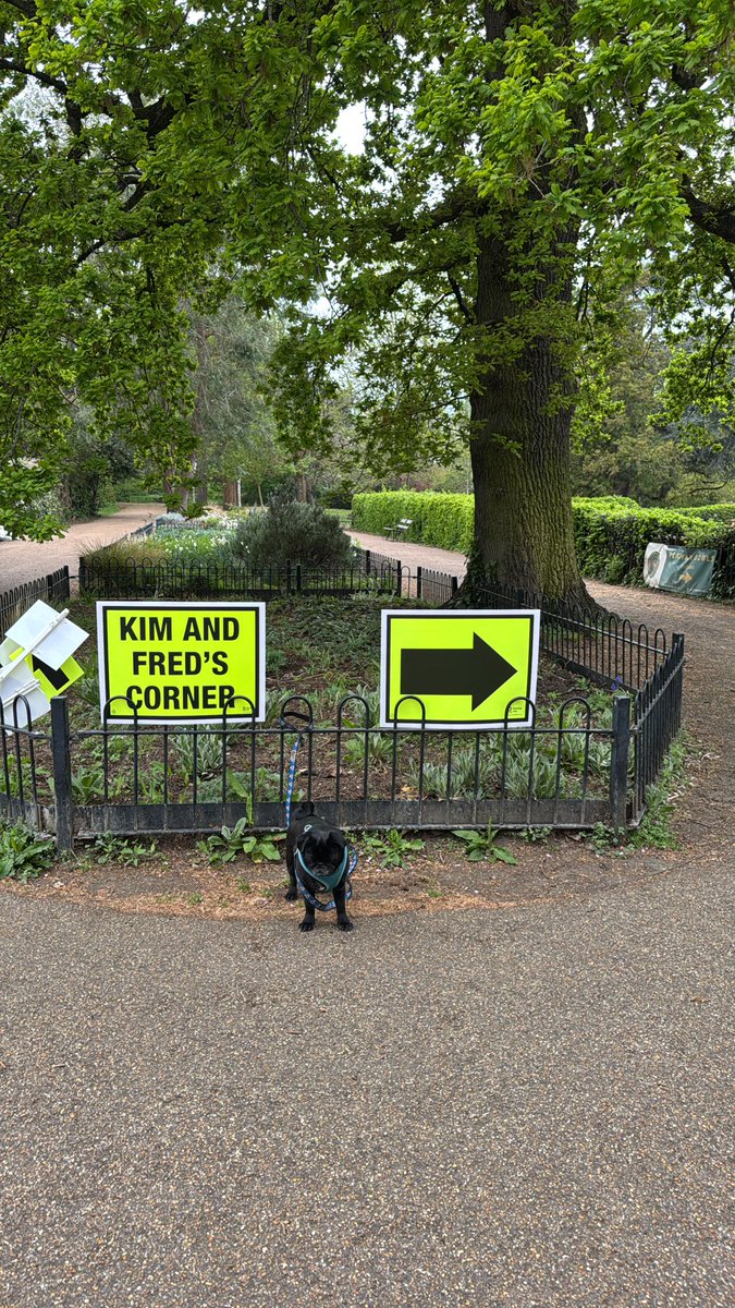 Peckham Rye parkrun tweet media