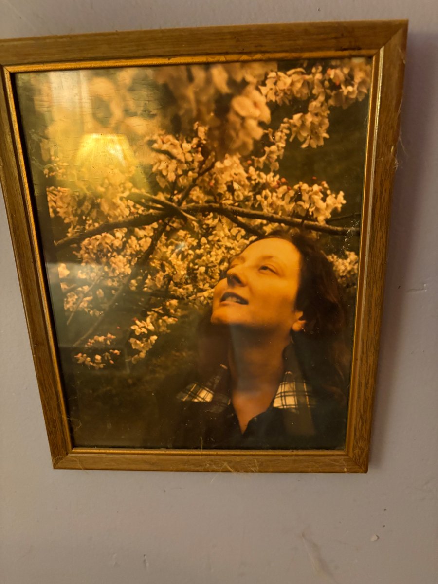 Jane Coaston 🏔️ tweet media