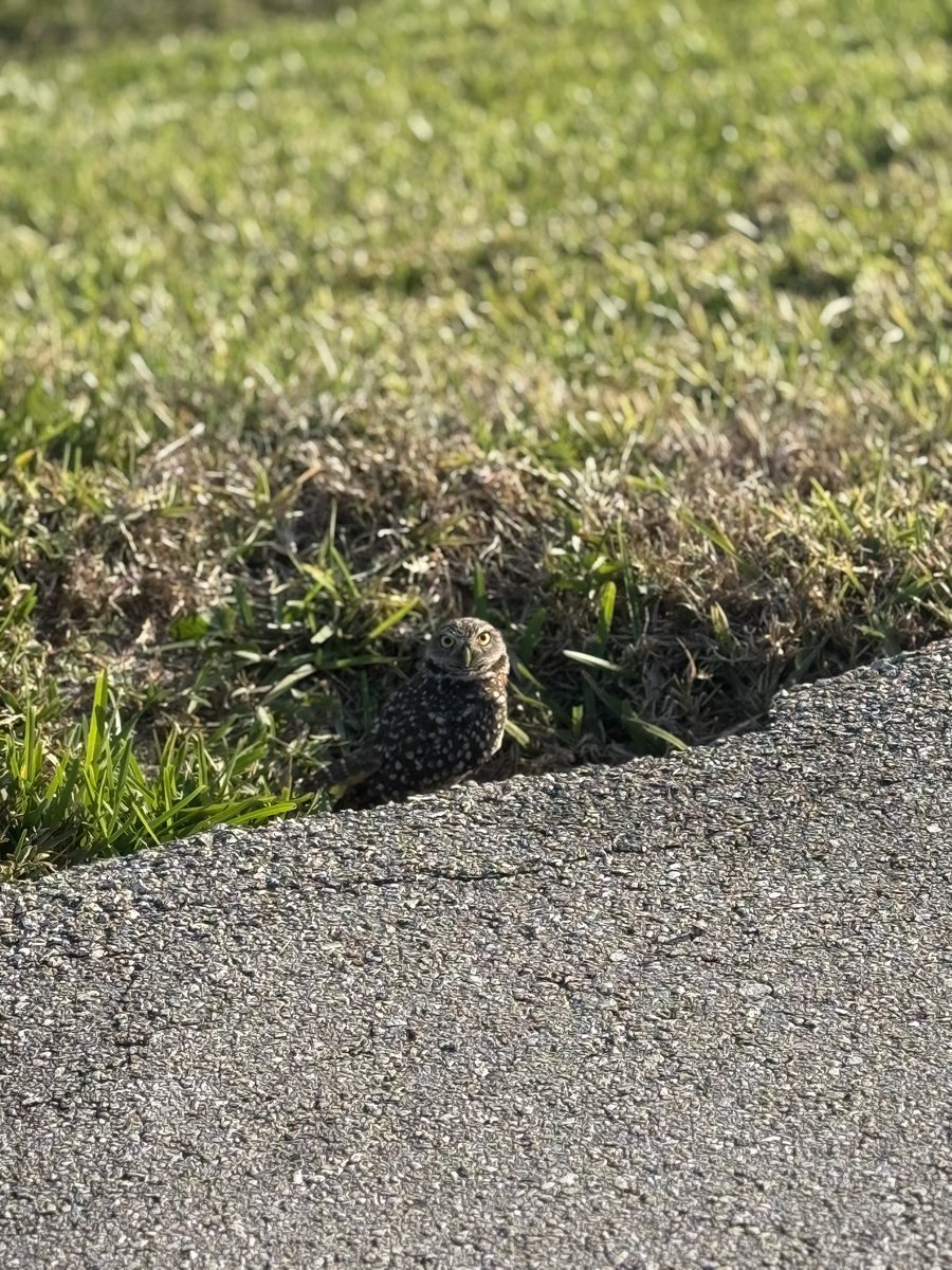 casey lawson tweet media