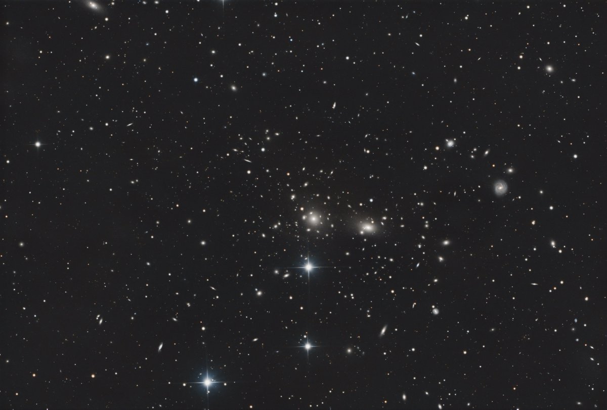 Le genre d'endroit du ciel que j'adore imager.Voici l'amas de galaxies Abell 1656 situé à environ 320 millions d'années lumière de nous. Il contient plus d'un millier de galaxies et des quasars à des milliards d'années lumière.230x180" pour cette image.💫 #Astrophotography