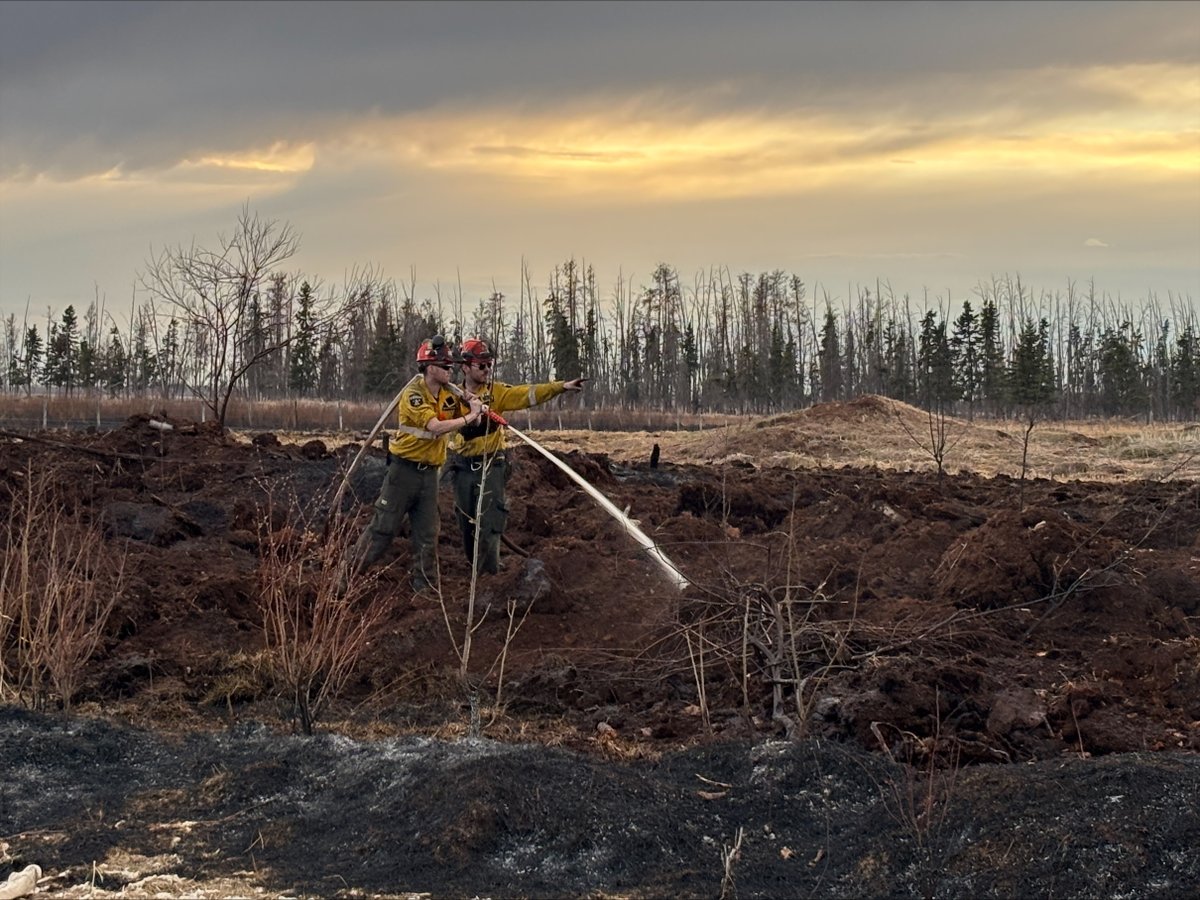 AlbertaWildfire's tweet photo. Alberta Wildfire has been responding to new wildfire starts in the forest protection area due to windy conditions. If you see smoke or flames in a forested area, call 310-FIRE to report it. https://t.co/vRQaIbaTvI https://t.co/oYDrA2HY6h