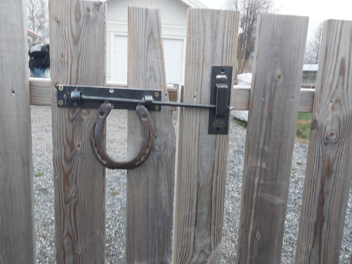 JENNY🔪 tweet media