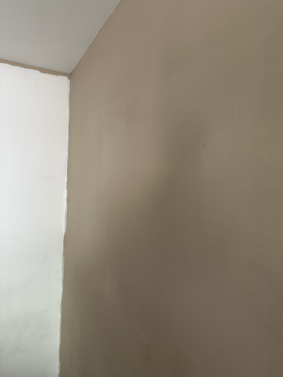 Todd Frangella tweet media