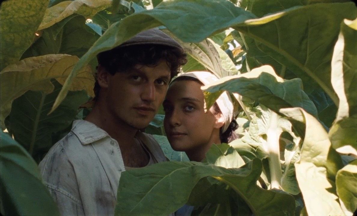 Happy as Lazzaro (2018) dir. Alice Rohrwacher