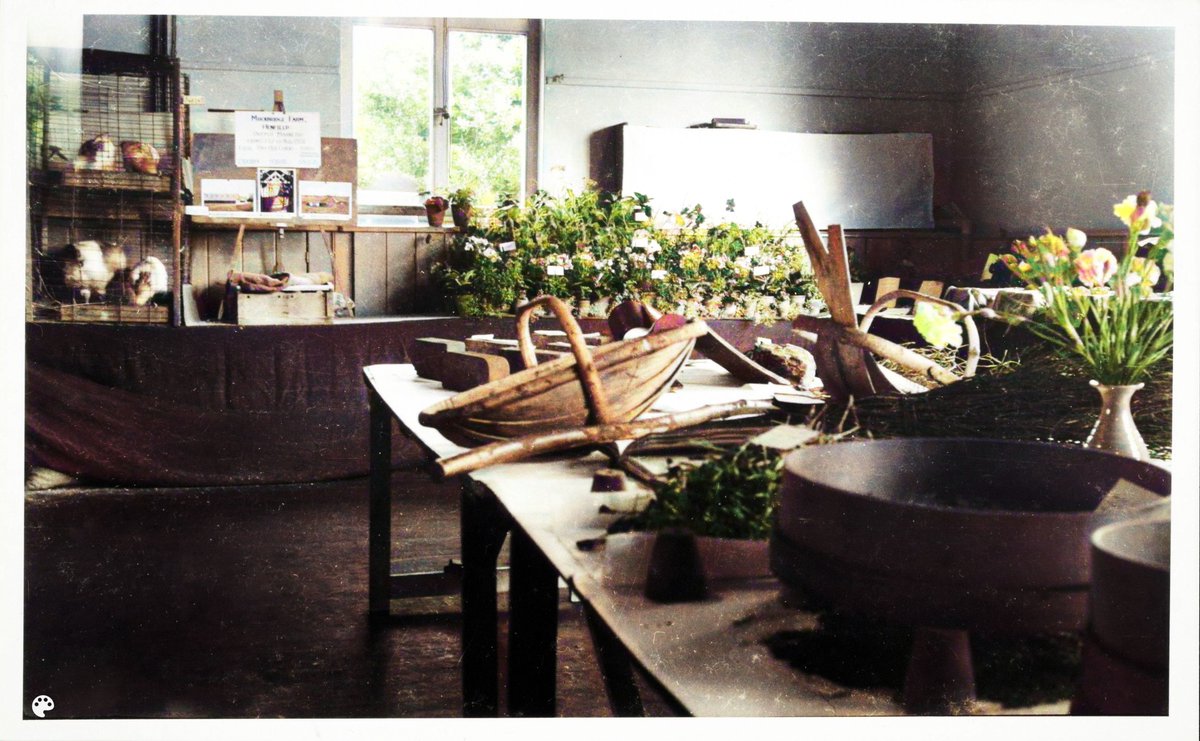 Henfield Museum tweet media