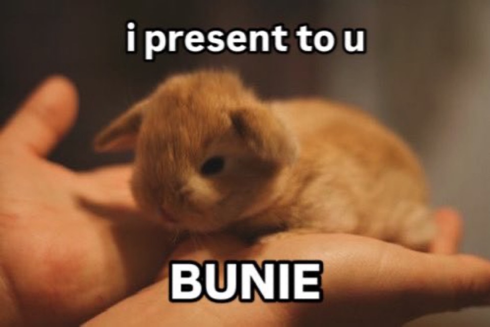 MaidenOfParody's tweet image. 