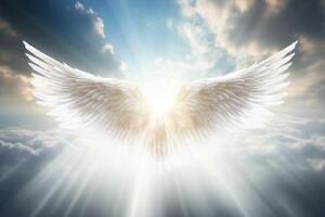 Eric Mele 🏴☠️ tweet media