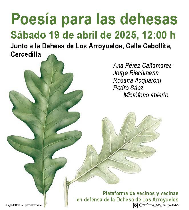 JulioVias's tweet photo. Bajo una rezaga inverniza propia del mes de abril, esta mañana ha tenido lugar en #Cercedilla la concentración 'Poesía para las Dehesas', contra la urbanización de la Dehesa de los Arroyuelos. Hablando con sabiduría, entre otros, @JorgeRiechmann...
#PNGuadarrama
#Urbanismosalvaje https://t.co/Kw2yHN9Vih