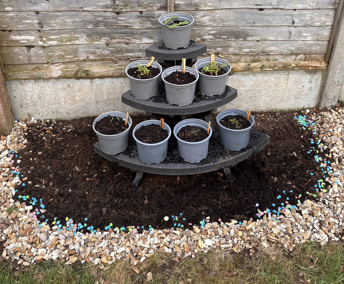 MichelleDenove1's tweet photo. Kids veg patch dug out ready to put their funky vegetables in the ground.. thankyou #horncastleinbloom ❤️ https://t.co/bXKMF6f32h
