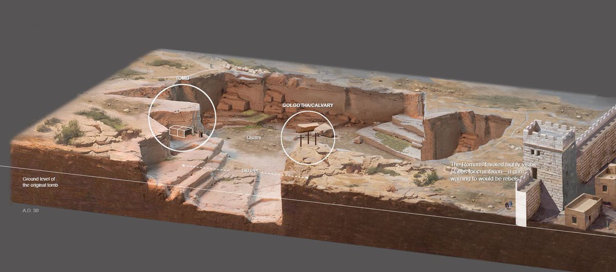 My Friend Don tweet media