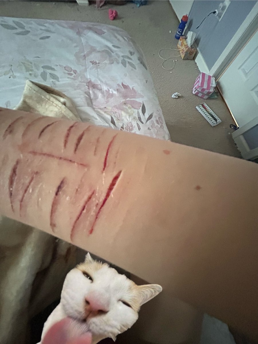 rat 𖦹₊ ⊹ (@totallynotaratt) / Posts / X
