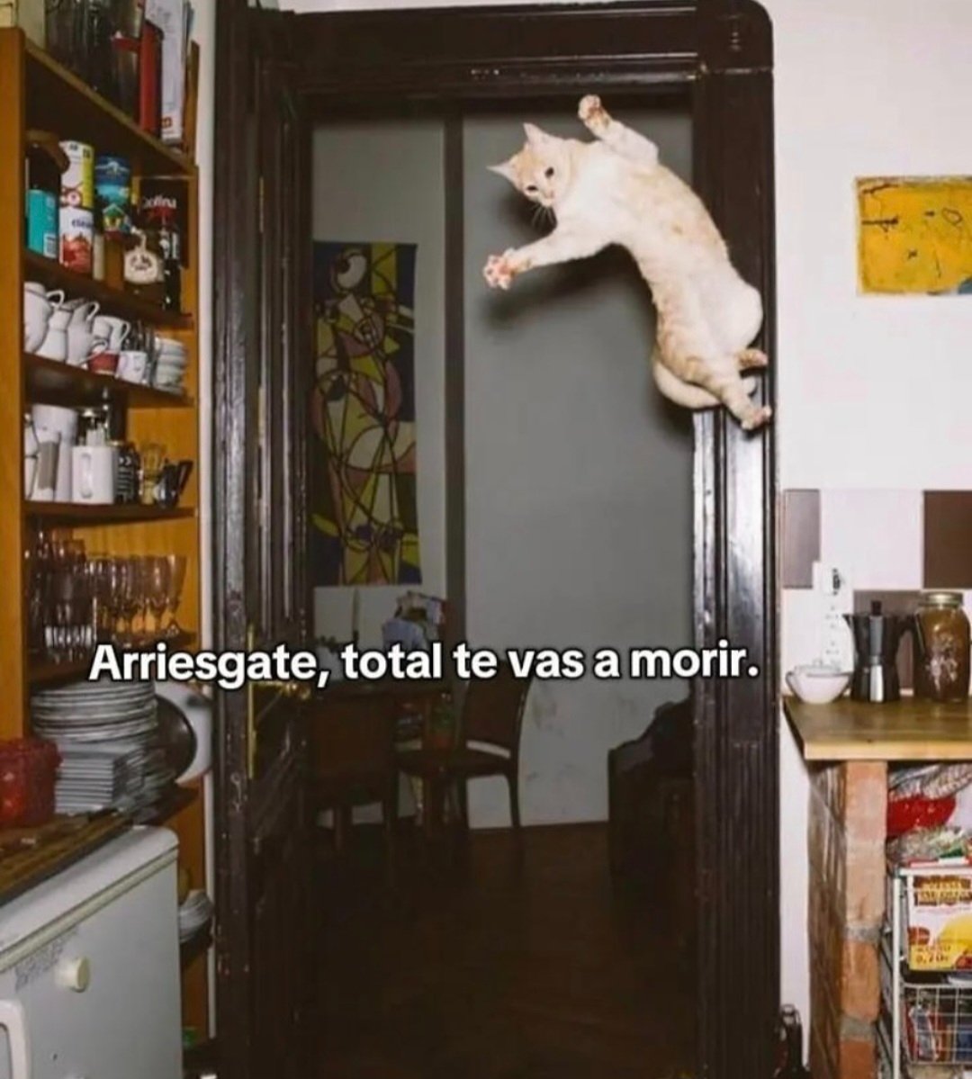 En Júpiter (@en_jupiter_) on Twitter photo 