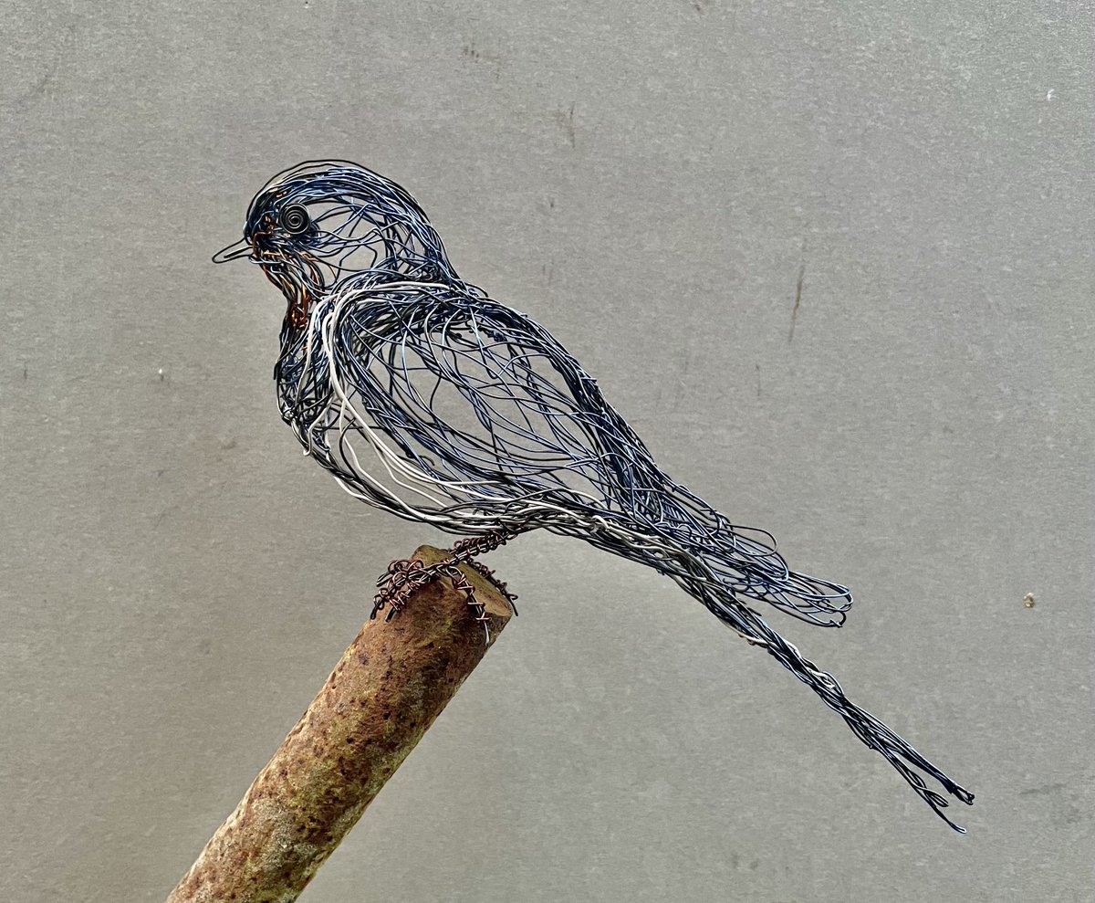 PaulGreenWire's tweet image. I’ve spent the past couple of days watching the newly arrived Swallows. I have tried to use the minimum amount of Wire to capture the form of the Bird. #wiresculpture #swallow #birdartist #freehandart #sculpture #suffolkbirds