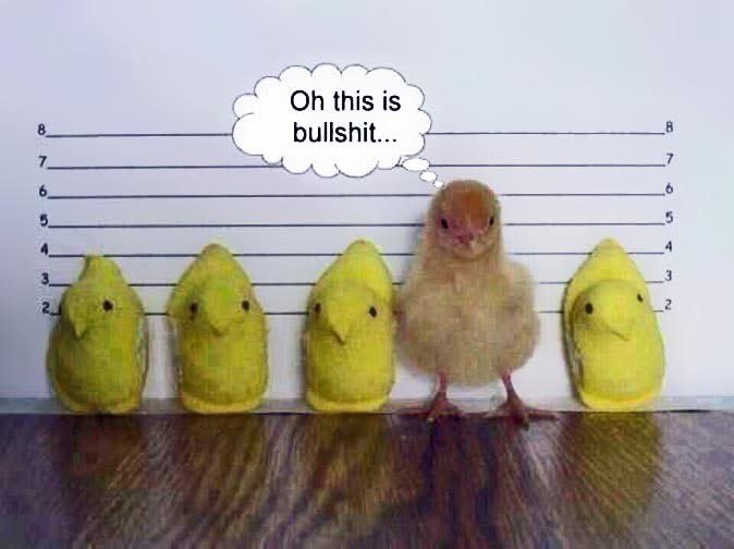 The1776Warriors's tweet photo. Hehe #EasterPeeps https://t.co/rH2kAcYRej
