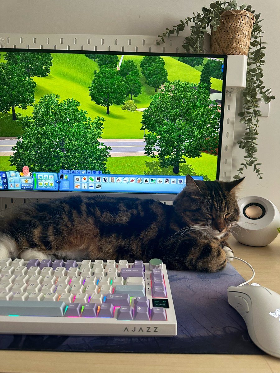 taangerine_'s tweet photo. sims 3 store world legacy and kitty 🧚‍♂️✨ https://t.co/f1WOjTFtE7