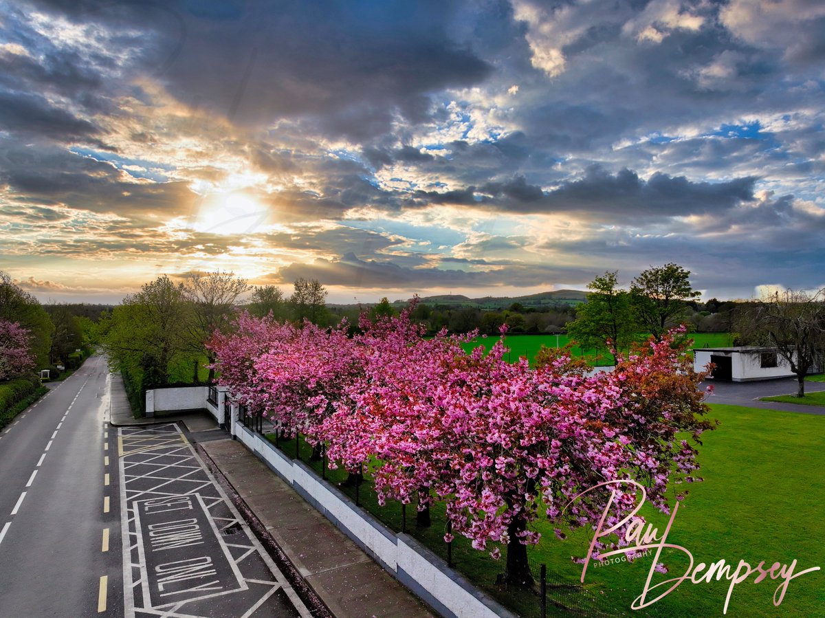 PaulDemooore's tweet photo. Holy Saturday and a little overcast, but at last the rain has stopped.....Happy Easter
#photography #naturebeauty #landscapes #photooftheday #home #kildare #sunset #sunsetphotography #curragh #sunsets #curraghofkildare #discoverireland #intokildare https://t.co/ycaRandGsf