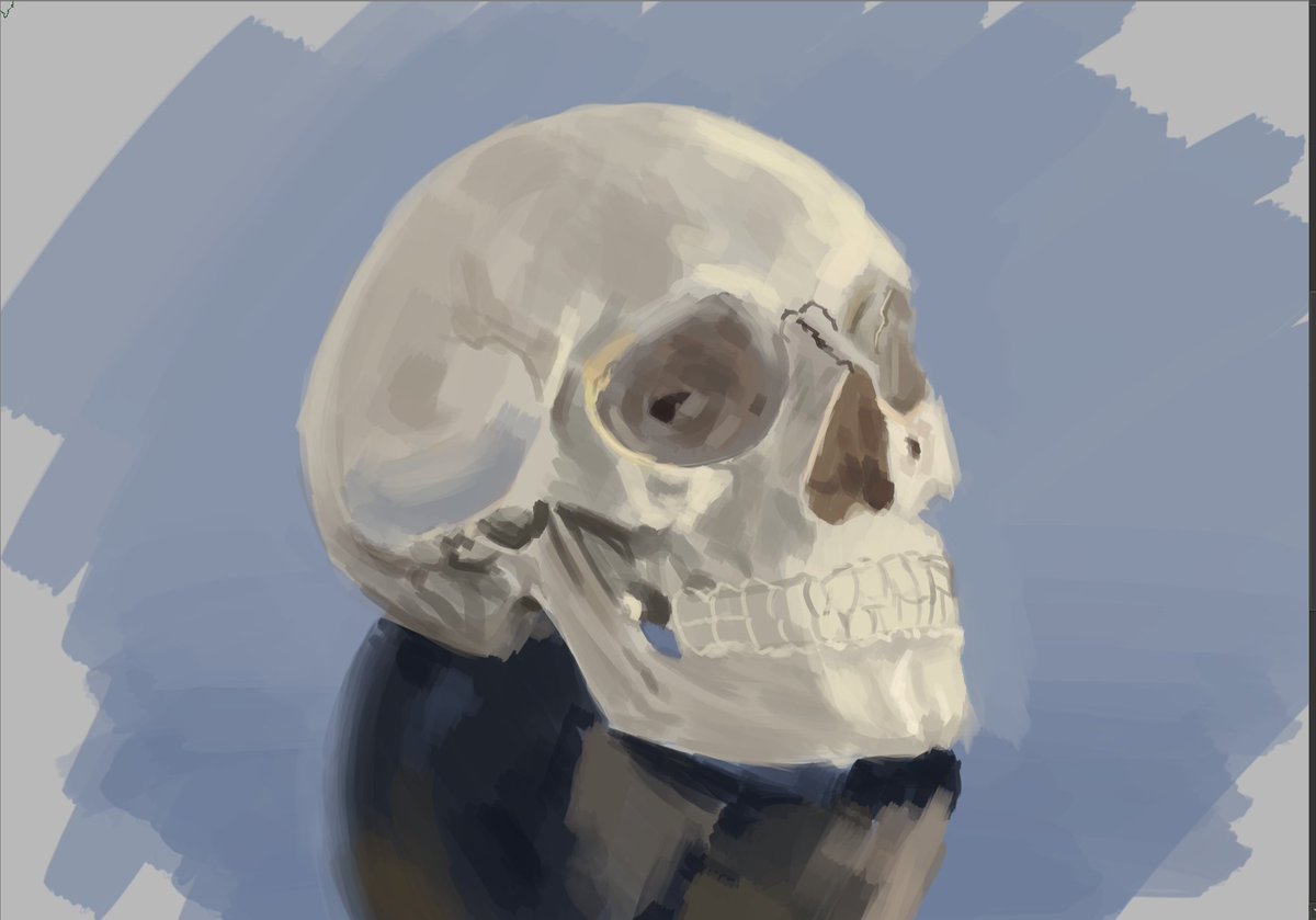 parumlepus's tweet photo. Latest studies. I get really lazy with them but it is always important to get back to the fundamentals

Made in krita https://t.co/OMyqiwHrpq