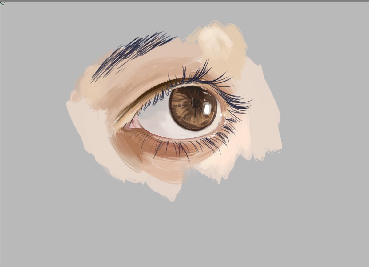 parumlepus's tweet photo. Latest studies. I get really lazy with them but it is always important to get back to the fundamentals

Made in krita https://t.co/OMyqiwHrpq
