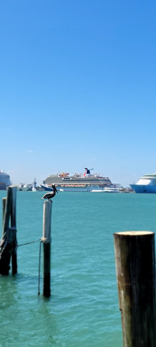 Happy Easter weekend! (Also, how is it already Easter weekend?!) We are open regular hours all weekend long, so "hop" on in... to Rusty's at the Port!!! 🐰🐣🥚🪺🍫🍬#hoppyeaster #Easter #easterweekend #relaxitsrustys #holidayhours #rustysseafood