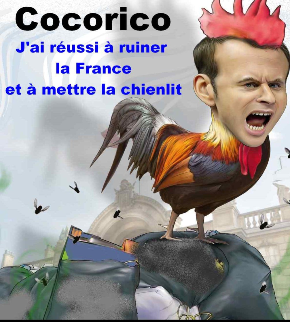 Yan_Pl_33's tweet photo. @EmmanuelMacron Et dire que les chercheurs français préfèrent s'expatrier... Chercher l'erreur ! https://t.co/hl7cEmNJ48