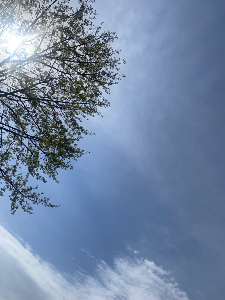 Lee Morales tweet media