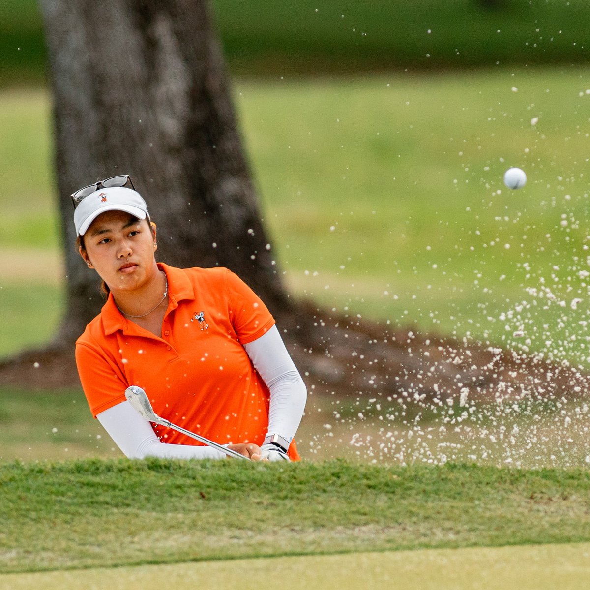 OSUcowgirlgolf's tweet photo. The Postseason Push📈📈📈

𝓑𝓲𝓰 12 𝓒𝓱𝓪𝓶𝓹𝓲𝓸𝓷𝓼𝓱𝓲𝓹 𝓒𝓪𝓹𝓼𝓾𝓵𝓮
🔸 Best Team Finish of the Season (T2)
🔸 Most Birdies in the Field (45)
🔸 Only Team with 4️⃣ Golfers in the Top 20

The push continues on Wednesday at Noon with the NCAA Selection Show on Golf Channel! https://t.co/ueHhddK2eY