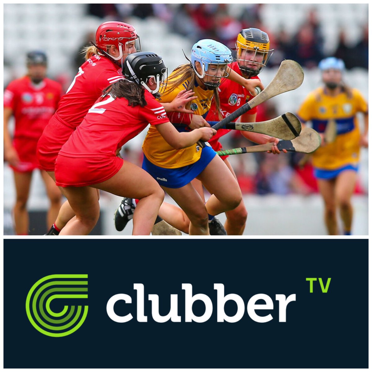 Hayley Ryan tweet media