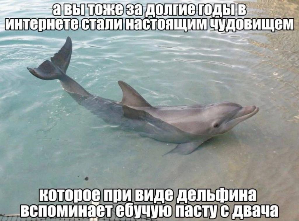 бимбо коза (@bzzzz3333) on Twitter photo 