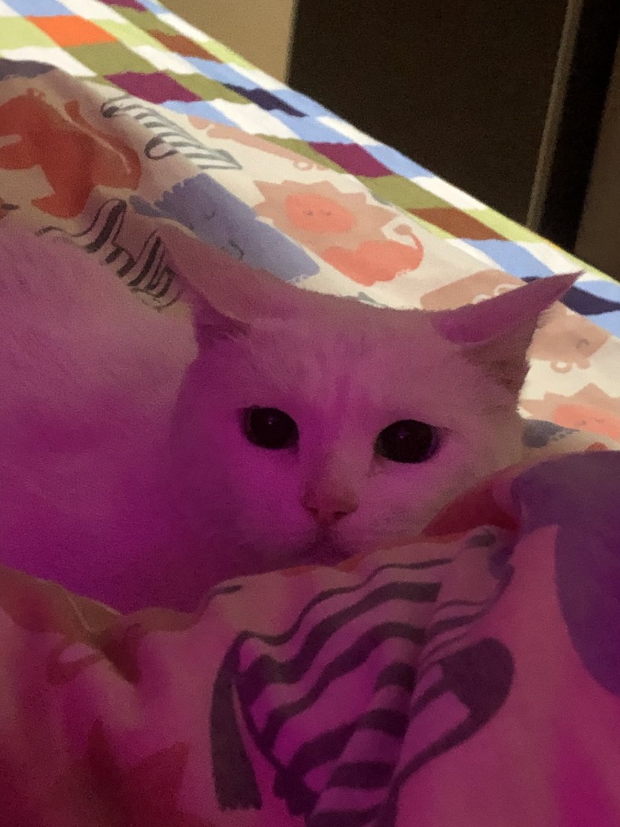 黄推福利内容 - 吊丝尸块姐的精彩图片 福利姬吊丝尸块姐分享的黄推图片2 - 网红私拍内容