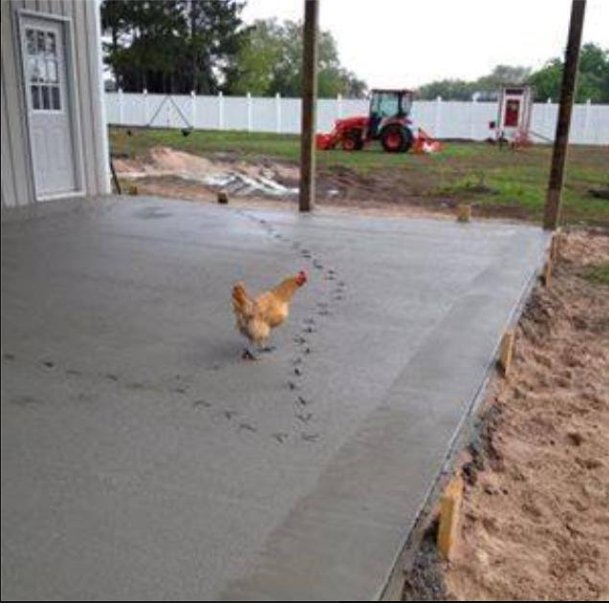 What would you do? Hmm  🤔 ?¿