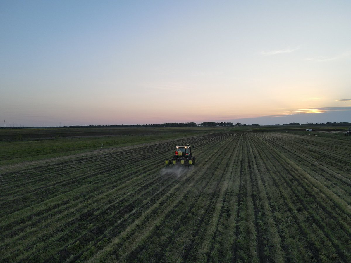 CropsMullican's tweet photo. Some dusk shots of #plant25 courtesy of the MSU soil fertility crew https://t.co/jnBZXbxq3z