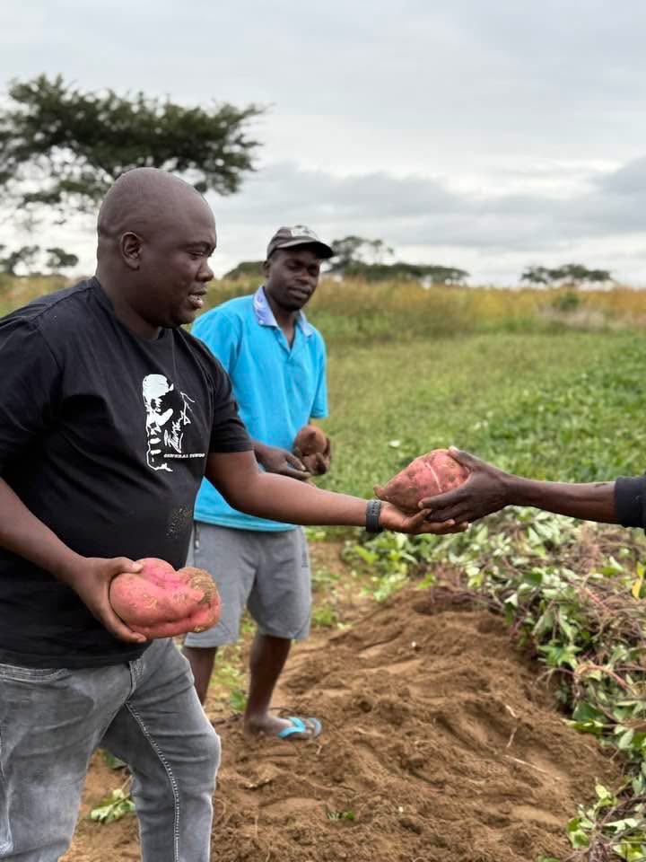 Tendai Chirau tweet media