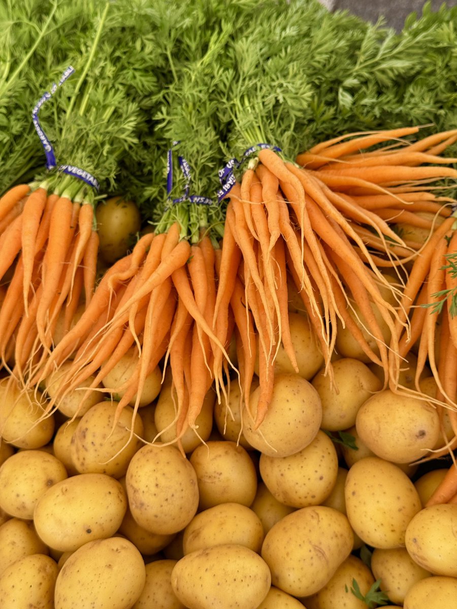 Staff_Commodore's tweet photo. From my early morning visit to the Santa Monica Farmers Market. 

🍓🥚🍄‍🟫🍋🥕🧄 https://t.co/IGfJiSLdJa