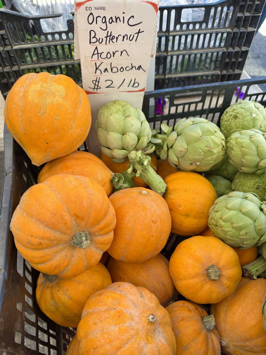 Staff_Commodore's tweet photo. From my early morning visit to the Santa Monica Farmers Market. 

🍓🥚🍄‍🟫🍋🥕🧄 https://t.co/IGfJiSLdJa