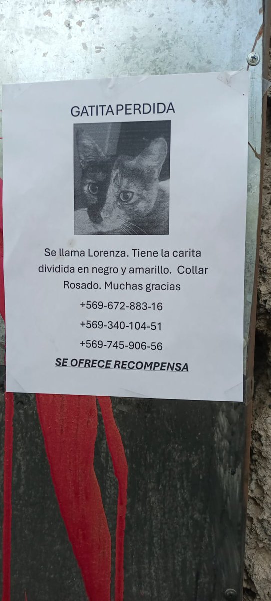 ¿Me ayudan a difundir?
Es en el sector de Manuel Montt con Irarrázaval.

Gracias 😻🐱🐈