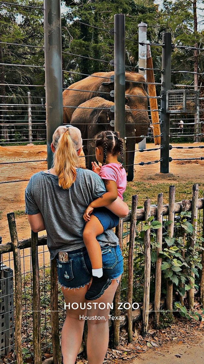 knikkibernard's tweet photo. Zoo trip with my first and our little love ❤️ https://t.co/erjOzuq5VR