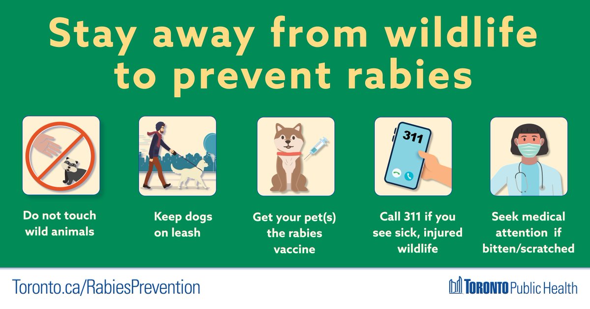 Rabies Prevention In Animals