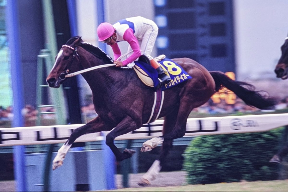 本日は皐月賞が行われます。1991年の同レースを無敗で制した