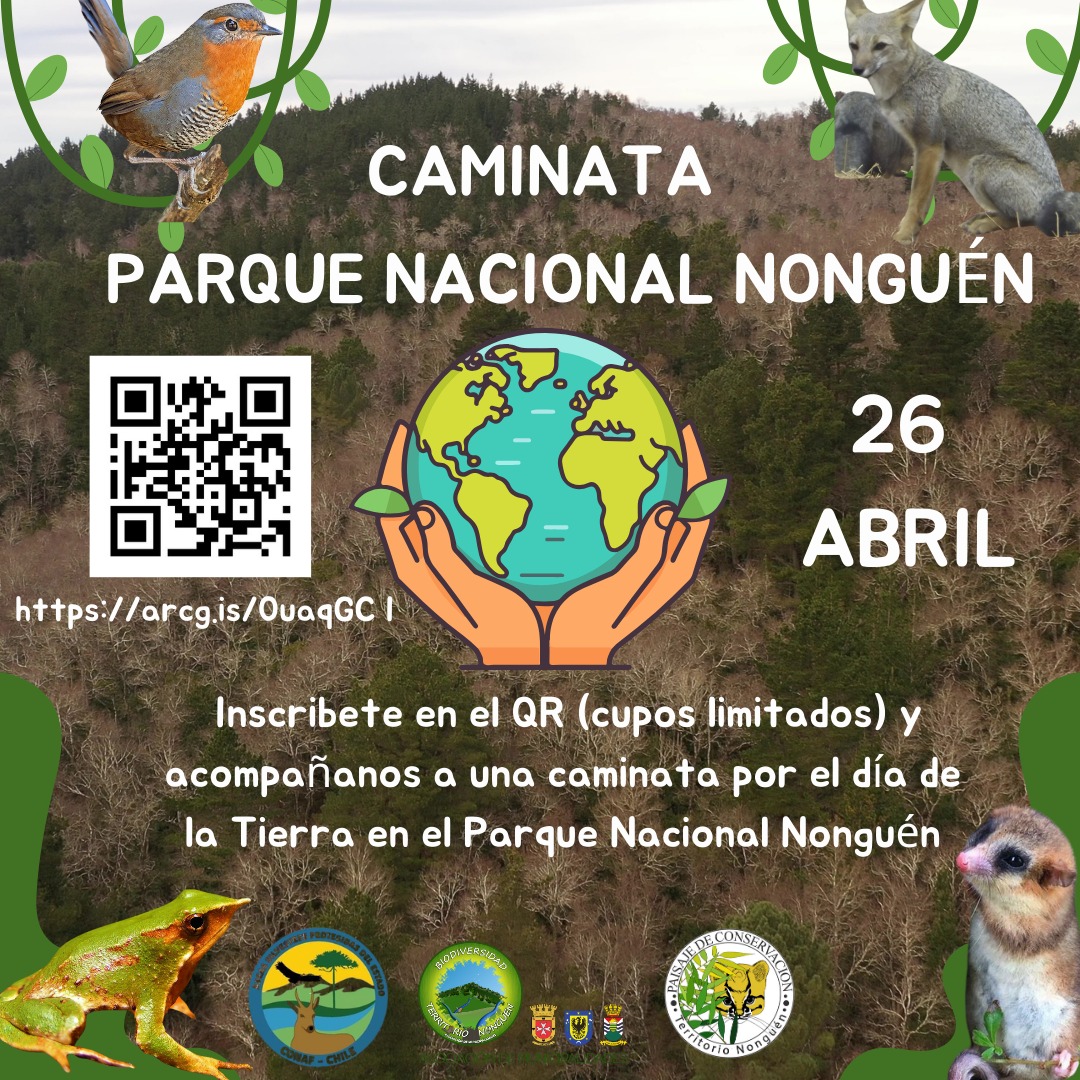 En el marco de la celebración del Día de la Tierra, se realizará una caminata especial en el Parque Nacional #Nonguén el próximo 26 de abril. Los interesados en participar deben realizar su inscripción a través del código QR que se encuentra en el afiche promocional del evento.