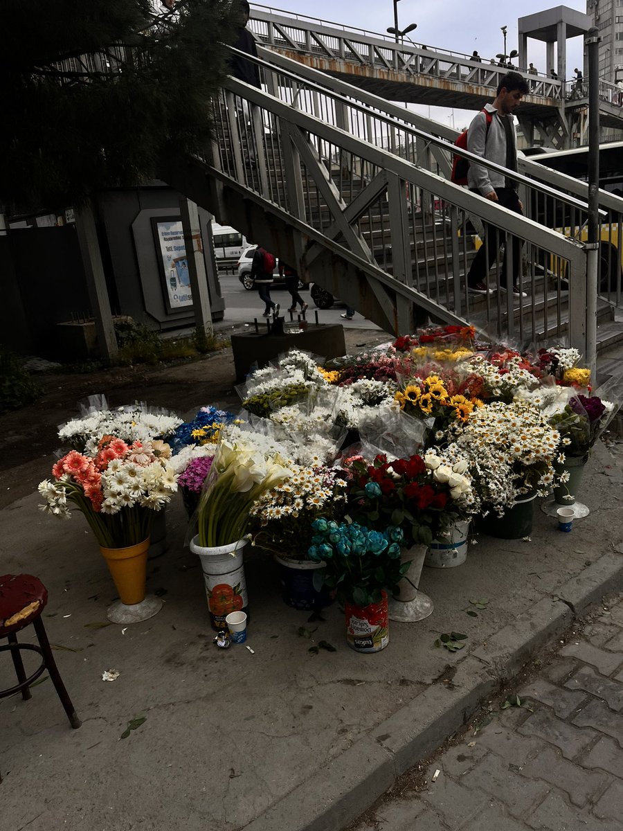 𝐂̧𝐢𝐜̧𝐞𝐤𝐥𝐞𝐧𝐝𝐢𝐤❤️💐