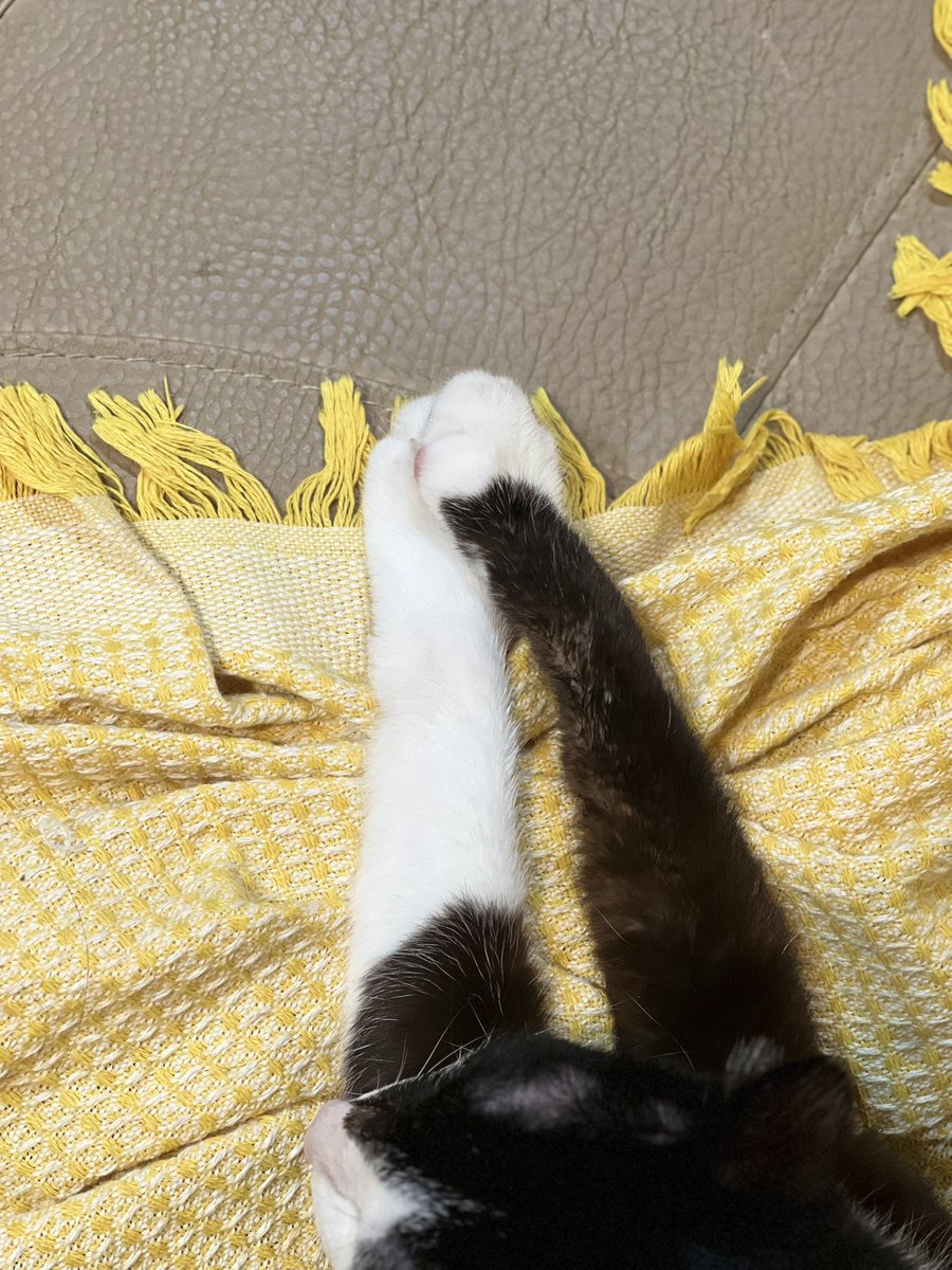手收