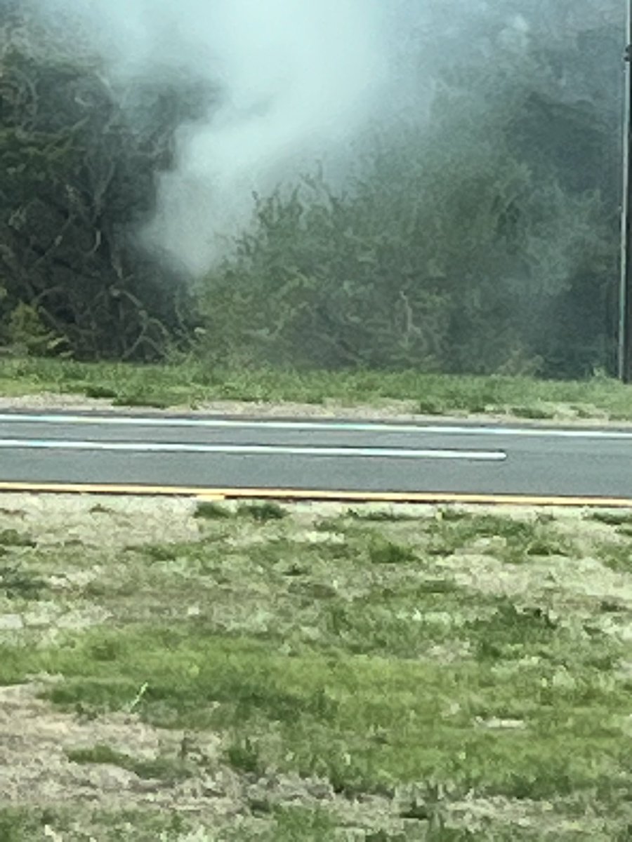 diane bates ♉︎ tweet media