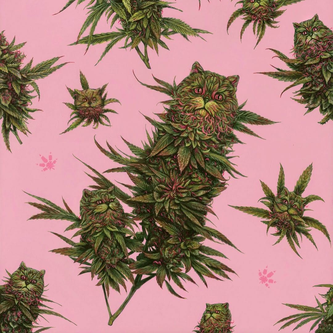 BestOfMeow's tweet photo. Art by Casey Weldon https://t.co/wCCpCGaaP0