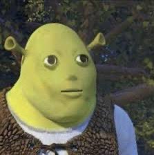 Feru ✭ tweet media